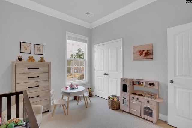 679 Scarlet Baby Drive, Blythewood, SC 29016