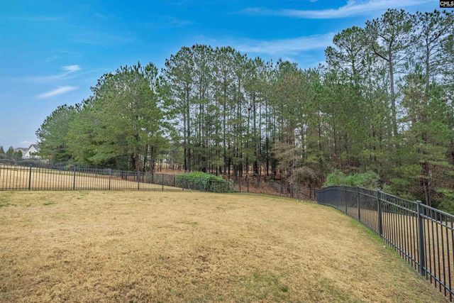 679 Scarlet Baby Drive, Blythewood, SC 29016