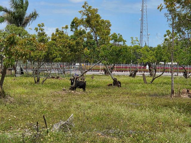 Xxx SW 264th Street, Homestead, FL 33031