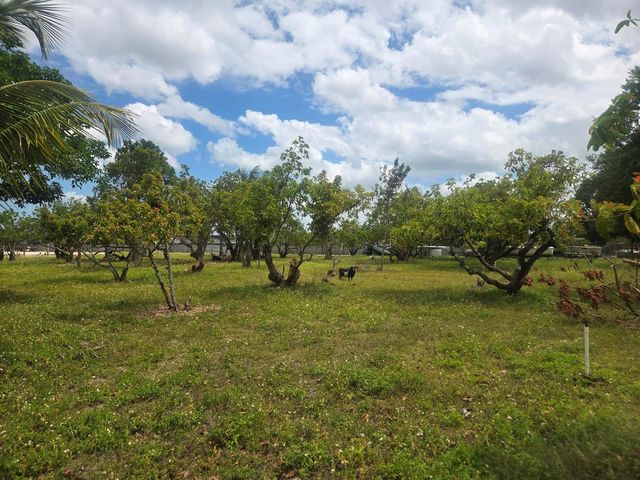 Xxx SW 264th Street, Homestead, FL 33031
