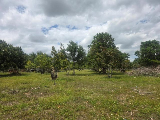 Xxx SW 264th Street, Homestead, FL 33031