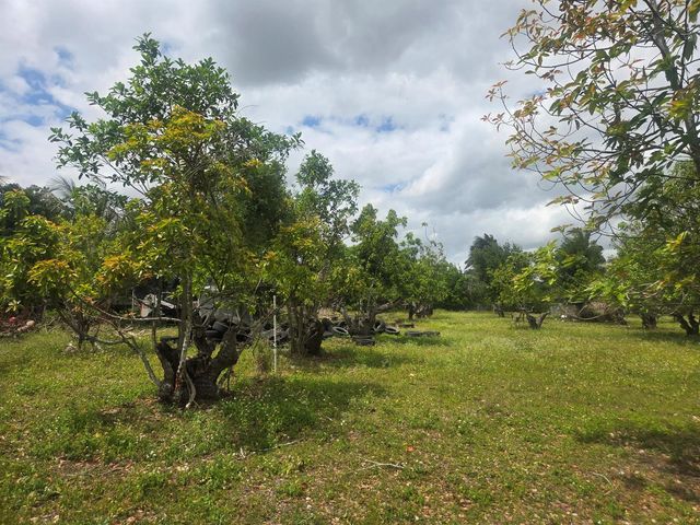 Xxx SW 264th Street, Homestead, FL 33031