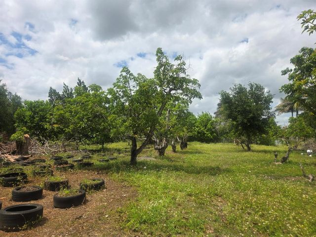 Xxx SW 264th Street, Homestead, FL 33031
