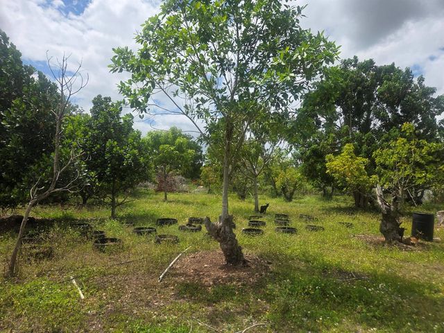 Xxx SW 264th Street, Homestead, FL 33031