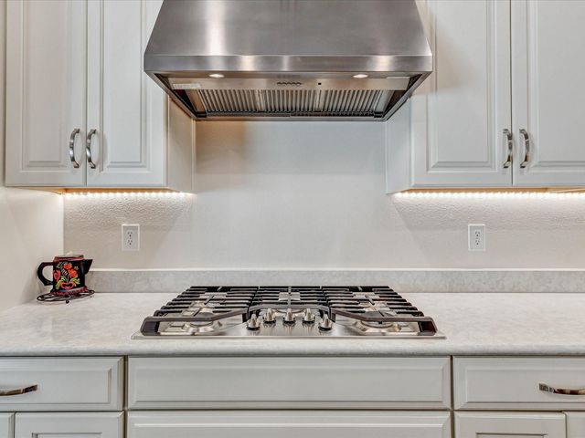 29735 CASSINO COURT, Wesley Chapel, FL 33543