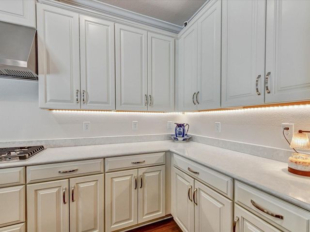 29735 CASSINO COURT, Wesley Chapel, FL 33543