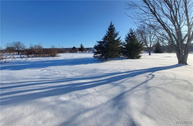 8294 Swamp Road, East Otto, NY 14719