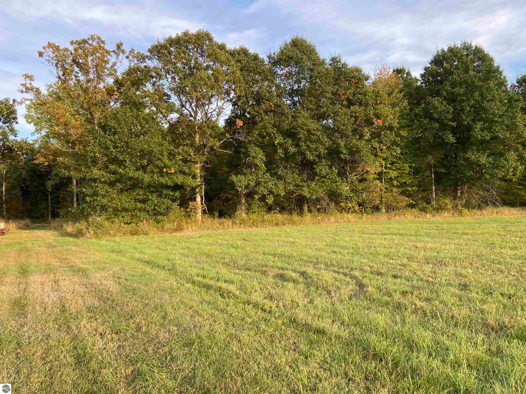 Image 18 of property listing at 311 S Castor Road, Shepherd, MI 48883