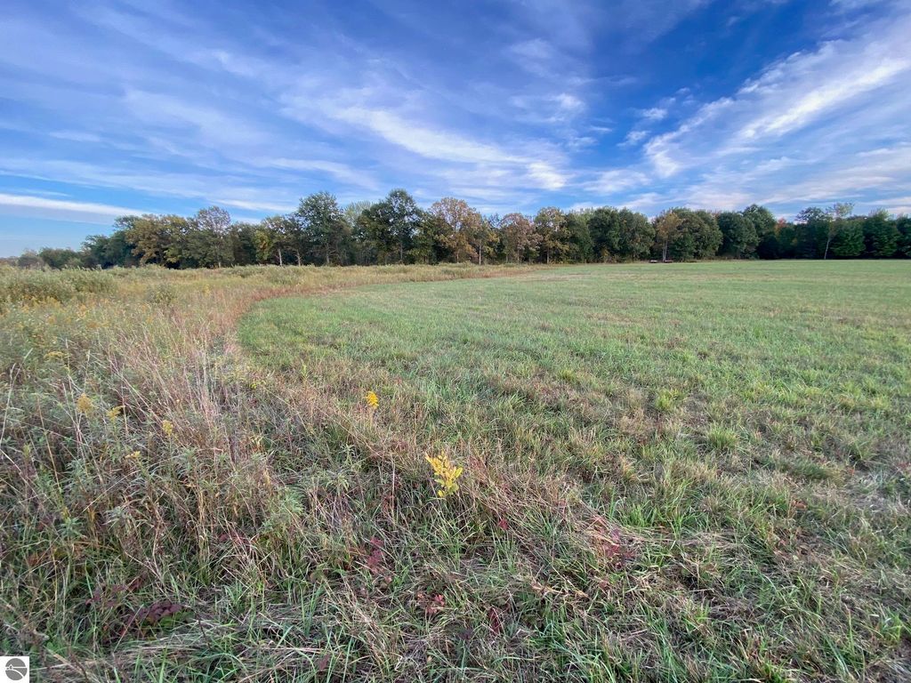 Image 2 of property listing at 311 S Castor Road, Shepherd, MI 48883