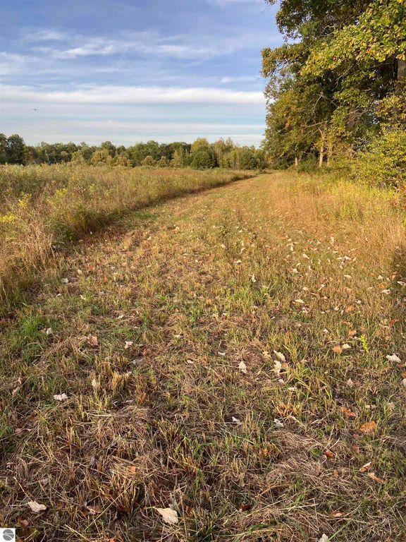 Image 20 of property listing at 311 S Castor Road, Shepherd, MI 48883