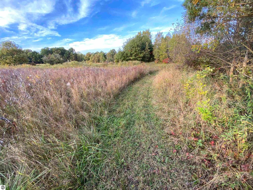Image 21 of property listing at 311 S Castor Road, Shepherd, MI 48883