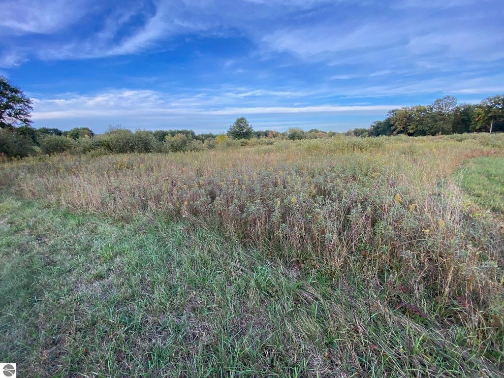 Image 3 of property listing at 311 S Castor Road, Shepherd, MI 48883
