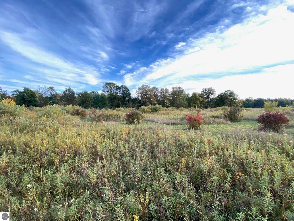 Image 4 of property listing at 311 S Castor Road, Shepherd, MI 48883