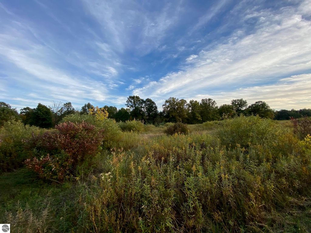 Image 5 of property listing at 311 S Castor Road, Shepherd, MI 48883