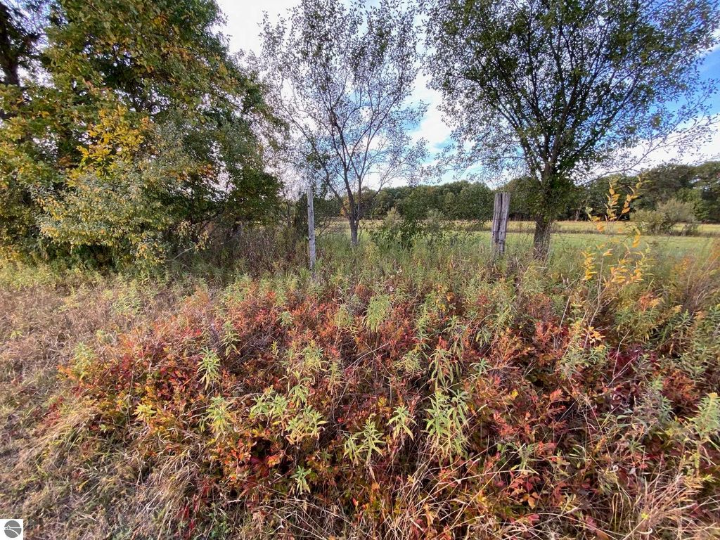 Image 6 of property listing at 311 S Castor Road, Shepherd, MI 48883
