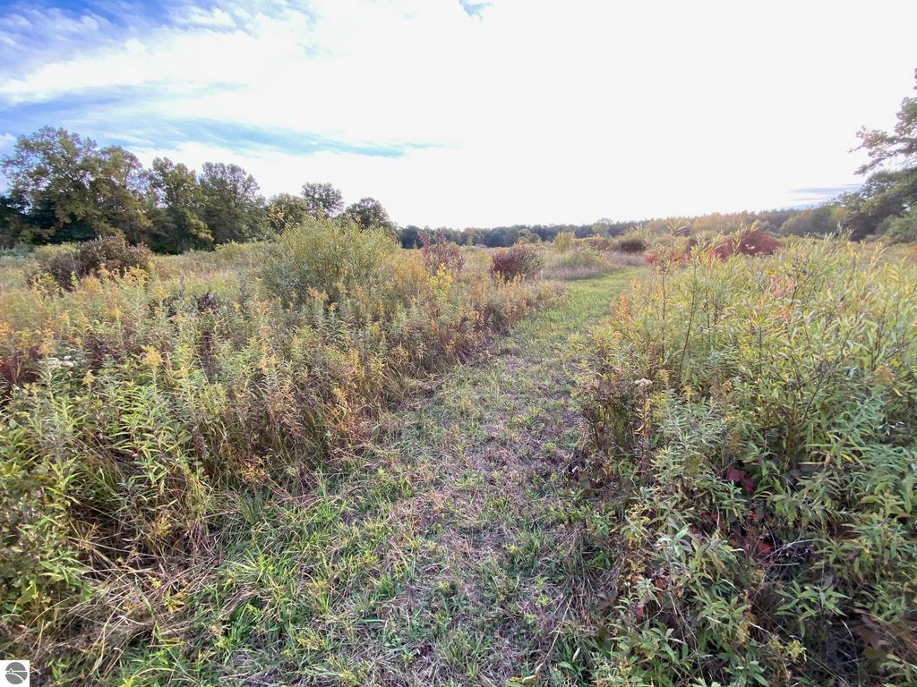 Image 7 of property listing at 311 S Castor Road, Shepherd, MI 48883