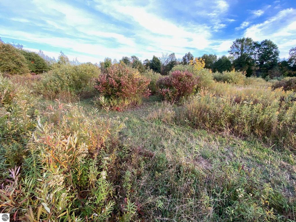Image 8 of property listing at 311 S Castor Road, Shepherd, MI 48883