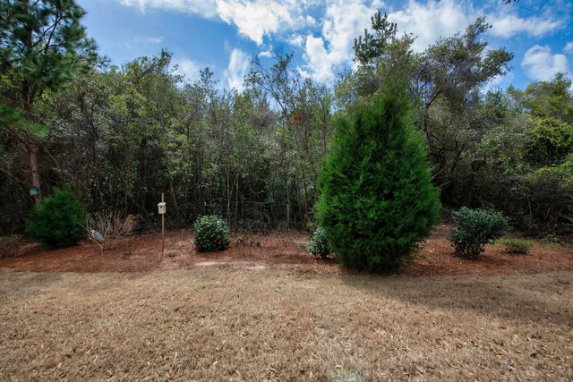 597 Fanny Ann Way, Freeport, FL 32439