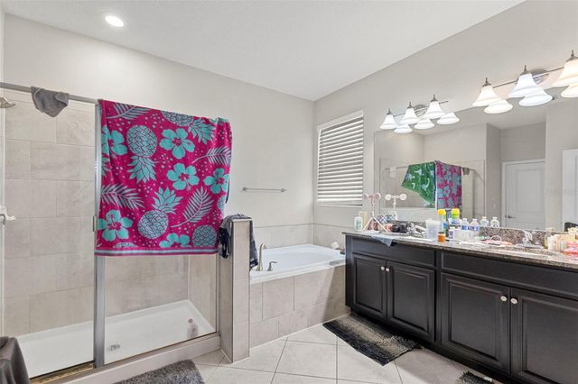 13244 SATIN LILY DRIVE, Riverview, FL 33579
