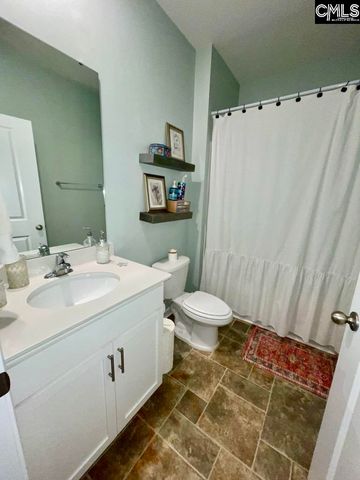 237 Timber Wood Drive, Chapin, SC 29036