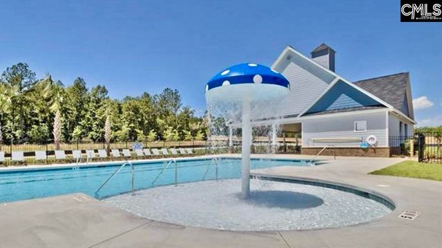 237 Timber Wood Drive, Chapin, SC 29036