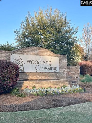 237 Timber Wood Drive, Chapin, SC 29036