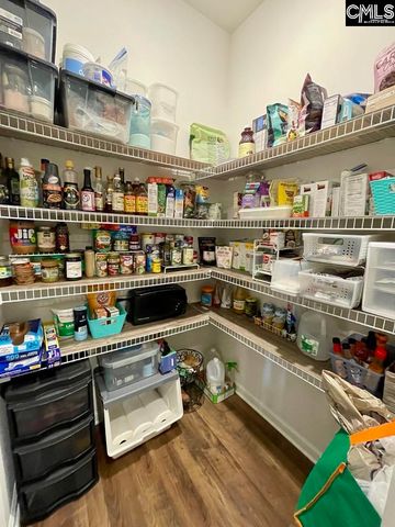 237 Timber Wood Drive, Chapin, SC 29036