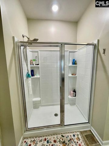 237 Timber Wood Drive, Chapin, SC 29036