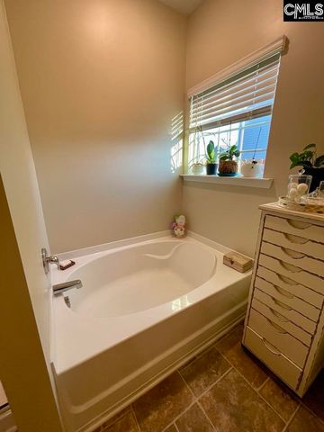 237 Timber Wood Drive, Chapin, SC 29036