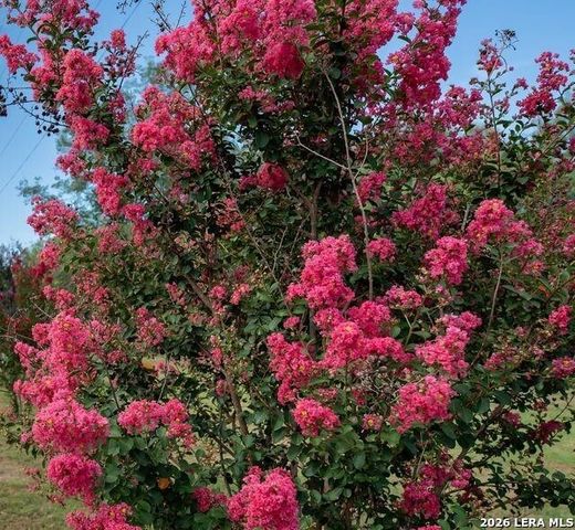 2113 Zion Hill, Seguin, TX 78155