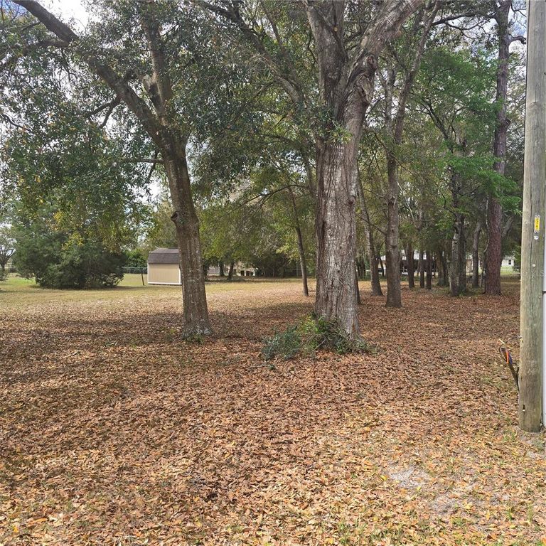 Image 1 of property listing at 9181 SE HIGHWAY 42, Summerfield, FL 34491