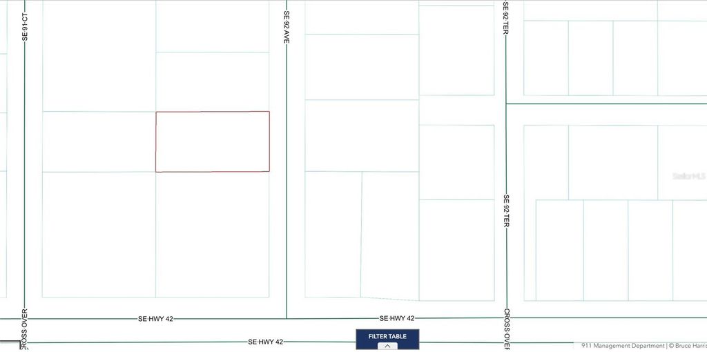 Image 5 of property listing at 9181 SE HIGHWAY 42, Summerfield, FL 34491