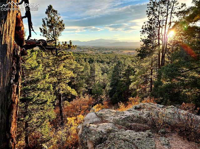 4450 Walker Ridge View, Colorado Springs, CO 80908