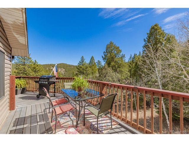 752 Impala Trl, Bailey, CO 80421