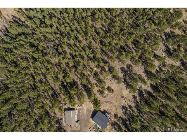 752 Impala Trl, Bailey, CO 80421