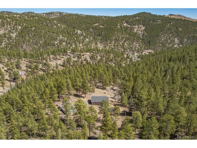 752 Impala Trl, Bailey, CO 80421