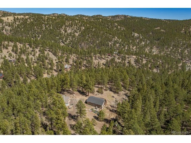 752 Impala Trl, Bailey, CO 80421