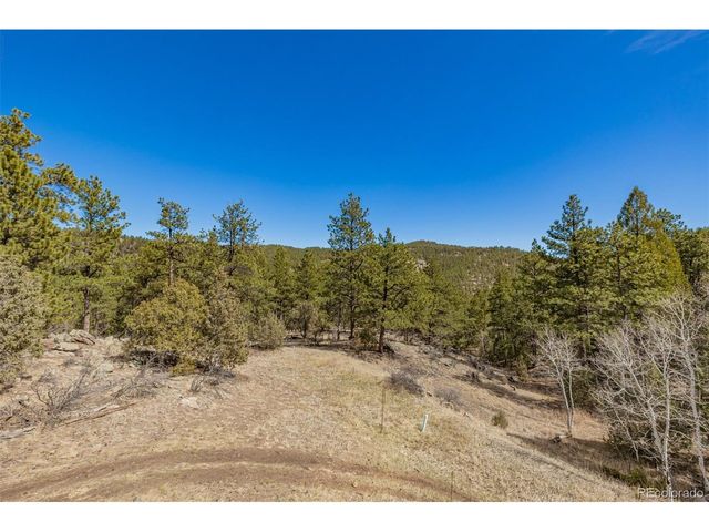 752 Impala Trl, Bailey, CO 80421