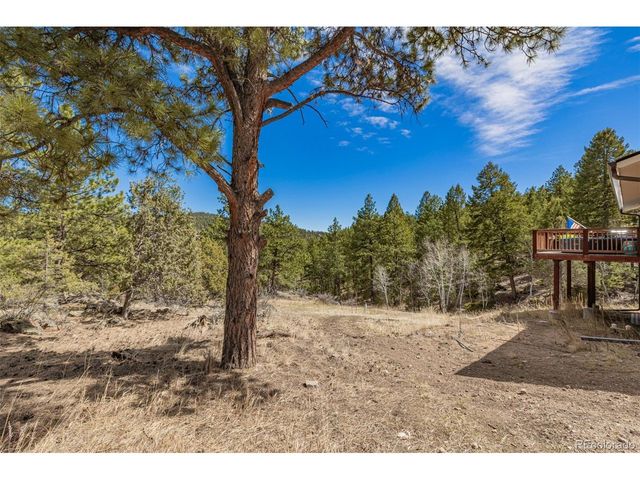 752 Impala Trl, Bailey, CO 80421