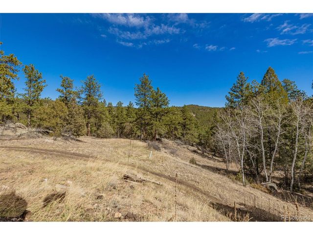 752 Impala Trl, Bailey, CO 80421