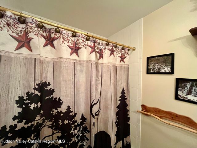 82 Liftside Drive A13, Hunter, NY 12442