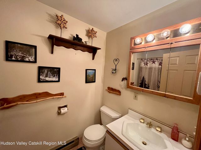 82 Liftside Drive A13, Hunter, NY 12442