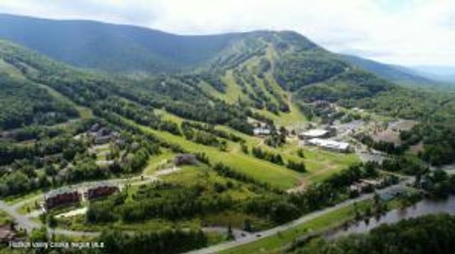 82 Liftside Drive A13, Hunter, NY 12442