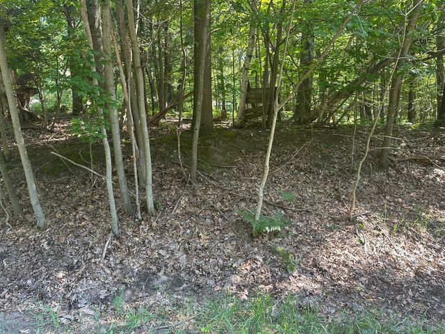 V/L Ridge Road, Mears, MI 49436