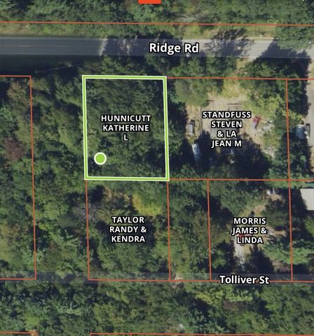 V/L Ridge Road, Mears, MI 49436