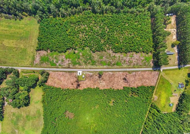 Multiple Lots Black Creek Rd., Nichols, SC 29581