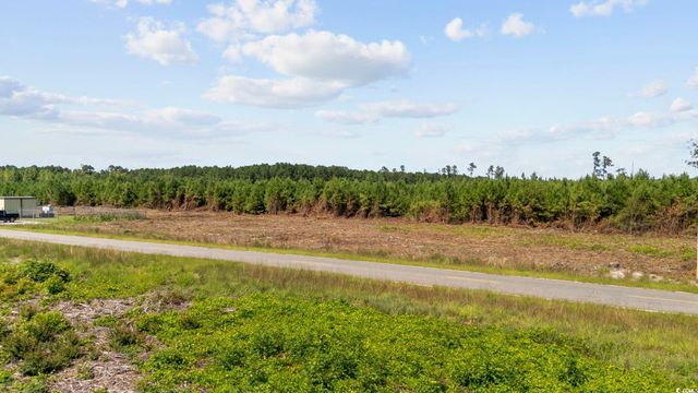 Multiple Lots Black Creek Rd., Nichols, SC 29581