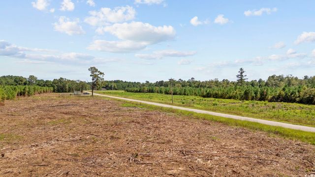 Multiple Lots Black Creek Rd., Nichols, SC 29581