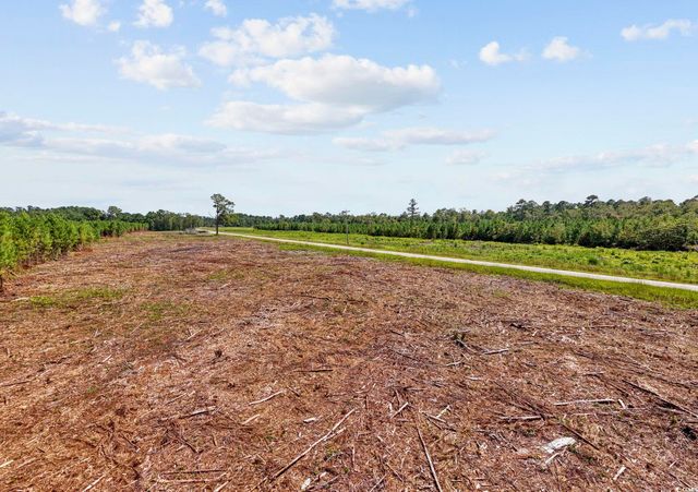 Multiple Lots Black Creek Rd., Nichols, SC 29581