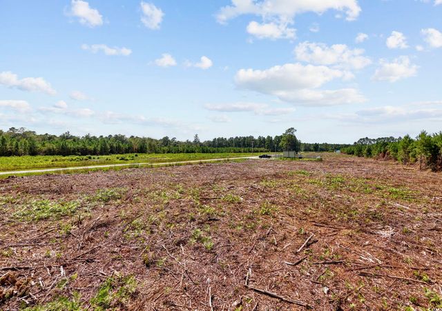 Multiple Lots Black Creek Rd., Nichols, SC 29581